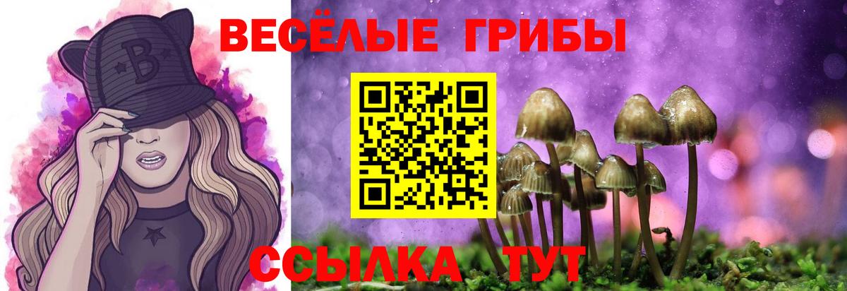 Губкинский  Псилоцибиновые грибы MAGIC MUSHROOMS  Вход с VPN  Псилоцибиновые грибы Magic Shrooms 