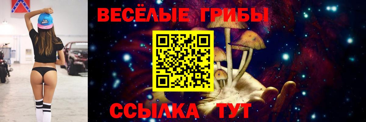 Галлюциногенные грибы ЛСД Губкинский
